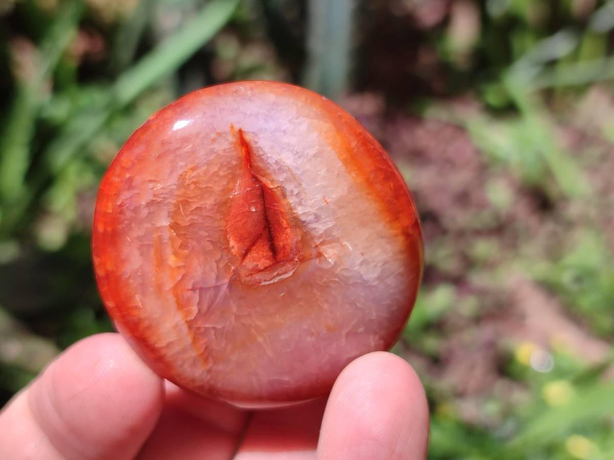 Polished Carnelian Agate Gemstone Galets x 43 From Madagascar - Toprock Gemstones and Minerals 