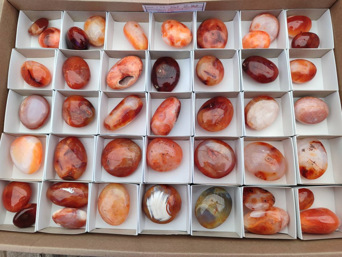 Polished Carnelian Agate Gemstone Galets x 43 From Madagascar - Toprock Gemstones and Minerals 