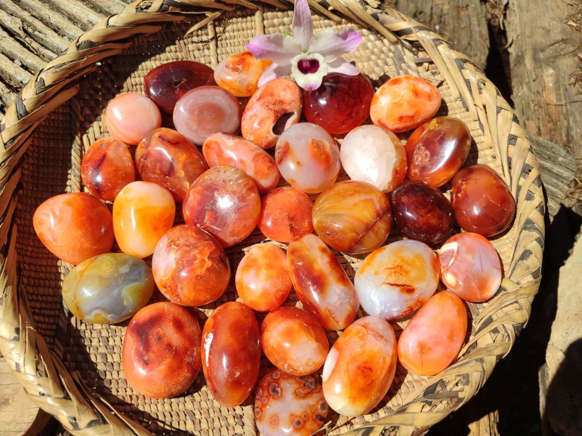 Polished Carnelian Agate Gemstone Galets x 43 From Madagascar - Toprock Gemstones and Minerals 