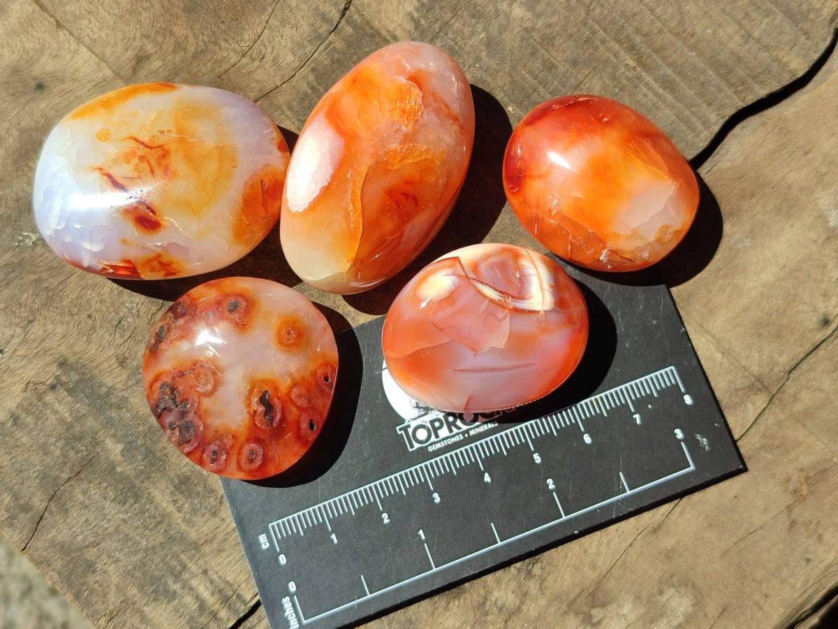 Polished Carnelian Agate Gemstone Galets x 43 From Madagascar - Toprock Gemstones and Minerals 