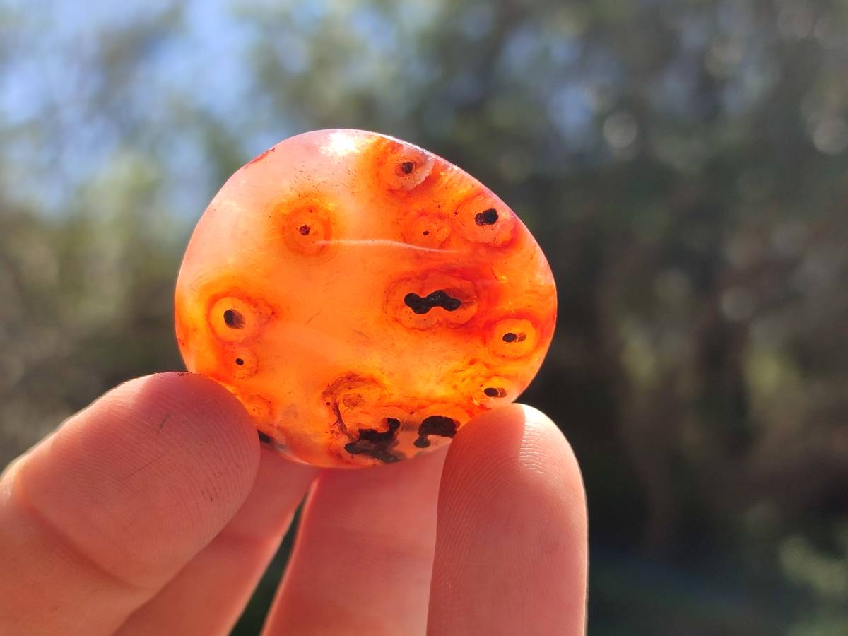 Polished Carnelian Agate Gemstone Galets x 43 From Madagascar - Toprock Gemstones and Minerals 