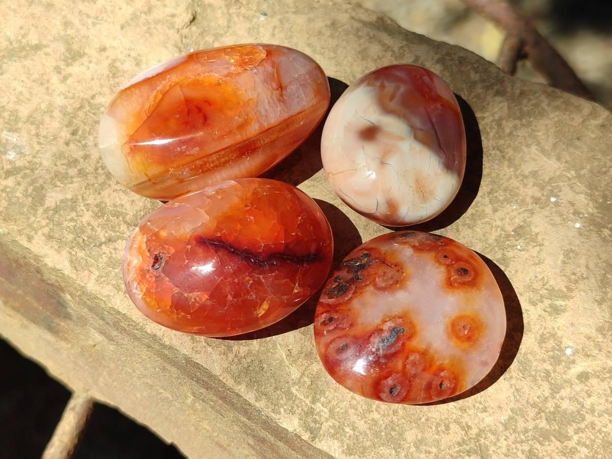 Polished Carnelian Agate Gemstone Galets x 43 From Madagascar - Toprock Gemstones and Minerals 
