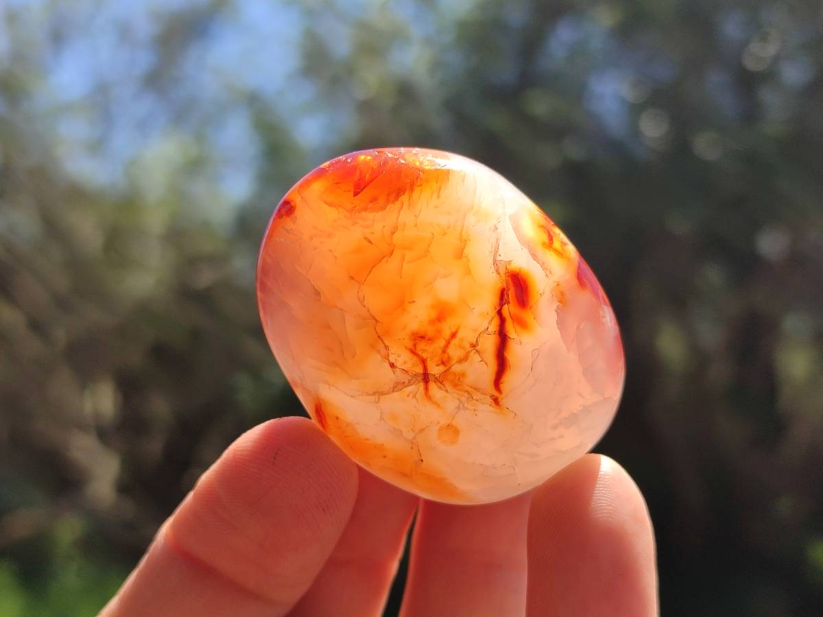 Polished Carnelian Agate Gemstone Galets x 43 From Madagascar - Toprock Gemstones and Minerals 