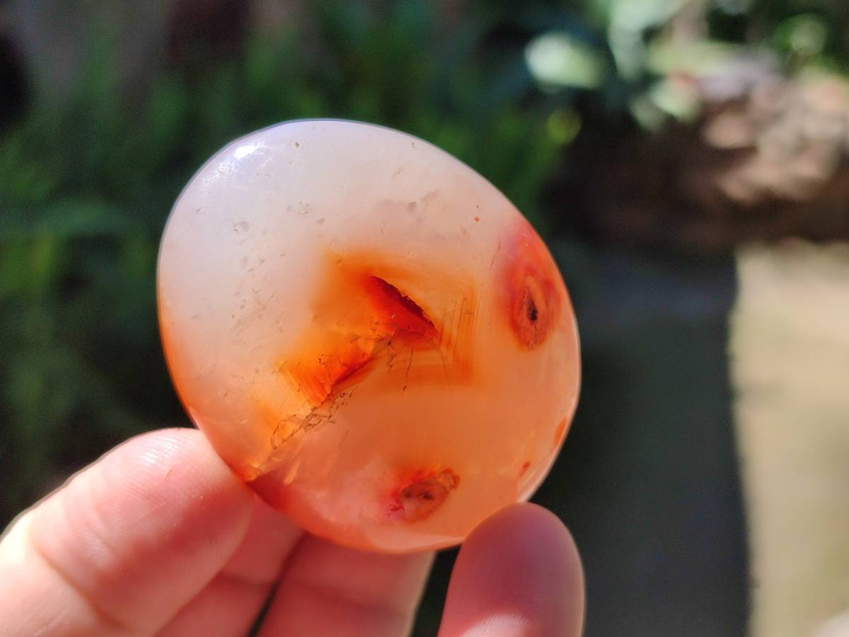 Polished Carnelian Agate Gemstone Galets x 43 From Madagascar - Toprock Gemstones and Minerals 