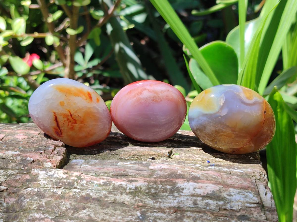 Polished Carnelian Agate Gemstone Galets x 43 From Madagascar - Toprock Gemstones and Minerals 