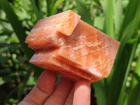 Natural Fluorescent Sunset Orange Calcite Specimens x 6 From Spitzkop, Namibia