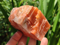 Natural Fluorescent Sunset Orange Calcite Specimens x 6 From Spitzkop, Namibia