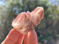 Natural Red Hematoid Quartz Crystals x 35 From Karoi, Zimbabwe