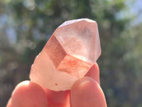 Natural Red Hematoid Quartz Crystals x 35 From Karoi, Zimbabwe