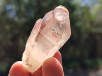 Natural Red Hematoid Quartz Crystals x 35 From Karoi, Zimbabwe