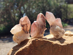 Natural Red Hematoid Quartz Crystals x 35 From Karoi, Zimbabwe - Toprock Gemstones and Minerals 