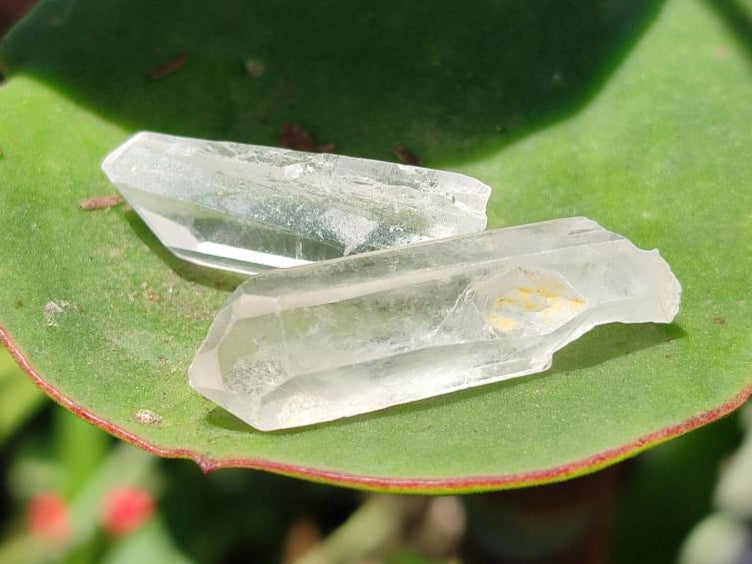 Natural Mine Run Quartz Crystals x 2.95 Kg Lot From Madagascar - Toprock Gemstones and Minerals 