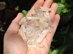 Natural Mine Run Quartz Crystals x 2.95 Kg Lot From Madagascar - Toprock Gemstones and Minerals 