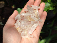 Natural Mine Run Quartz Crystals x 2.95 Kg Lot From Madagascar