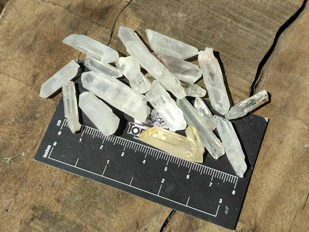 Natural Mine Run Quartz Crystals x 2.95 Kg Lot From Madagascar - Toprock Gemstones and Minerals 