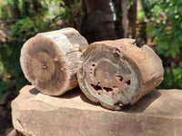 Polished On One Side Petrified Wood Branches x 4 From Gokwe, Zimbabwe
