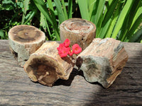 Polished On One Side Petrified Wood Branches x 4 From Gokwe, Zimbabwe