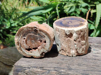 Polished On One Side Petrified Wood Branches x 4 From Gokwe, Zimbabwe