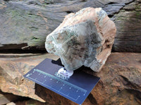 Polished On One Side Petrified Wood Branches x 4 From Gokwe, Zimbabwe