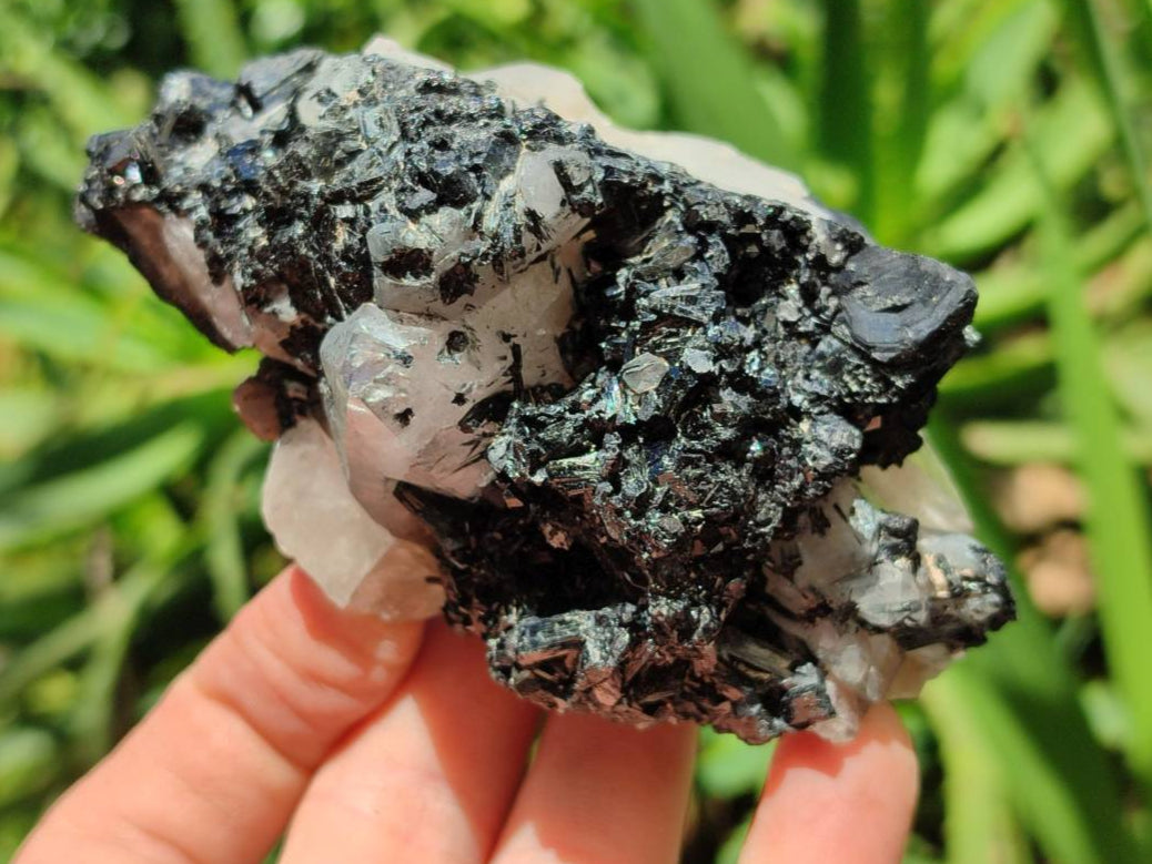 Natural Schorl Black Tourmaline with Associated Minerals x 6 From Erongo, Namibia - Toprock Gemstones and Minerals 