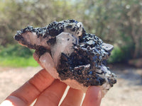 Natural Schorl Black Tourmaline with Associated Minerals x 6 From Erongo, Namibia