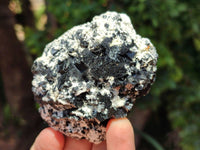 Natural Schorl Black Tourmaline with Associated Minerals x 6 From Erongo, Namibia
