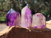 Polished Window Amethyst Crystals x 12 From Akansobe, Madagascar