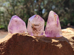 Polished Window Amethyst Crystals x 12 From Akansobe, Madagascar - Toprock Gemstones and Minerals 