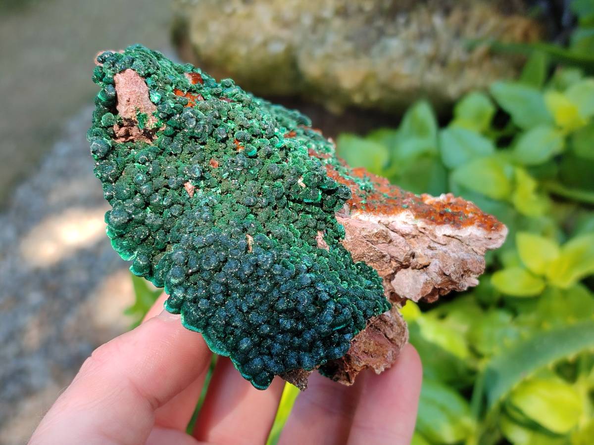 Natural Silky Ball Malachite and Drusy Quartz On Dolomite Matrix Specimens x 2 From Mindingi Mine, Kambove, Congo - Toprock Gemstones and Minerals 