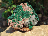 Natural Silky Ball Malachite and Drusy Quartz On Dolomite Matrix Specimens x 2 From Mindingi Mine, Kambove, Congo