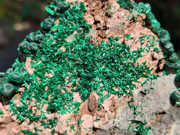 Natural Silky Ball Malachite and Drusy Quartz On Dolomite Matrix Specimens x 2 From Mindingi Mine, Kambove, Congo