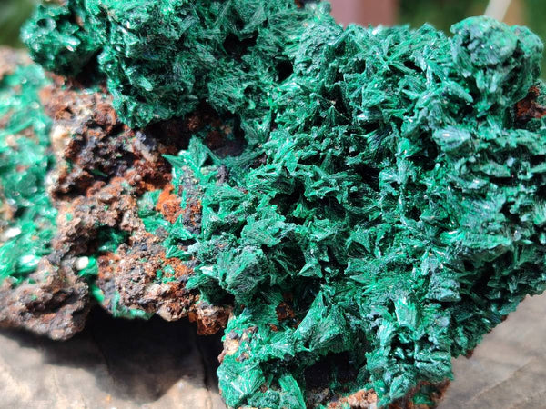 Natural Silky Acicular Malachite Specimen Dolomite Matrix x 1 From Kasompe, Congo