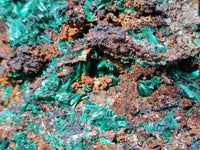 Natural Silky Acicular Malachite Specimen Dolomite Matrix x 1 From Kasompe, Congo
