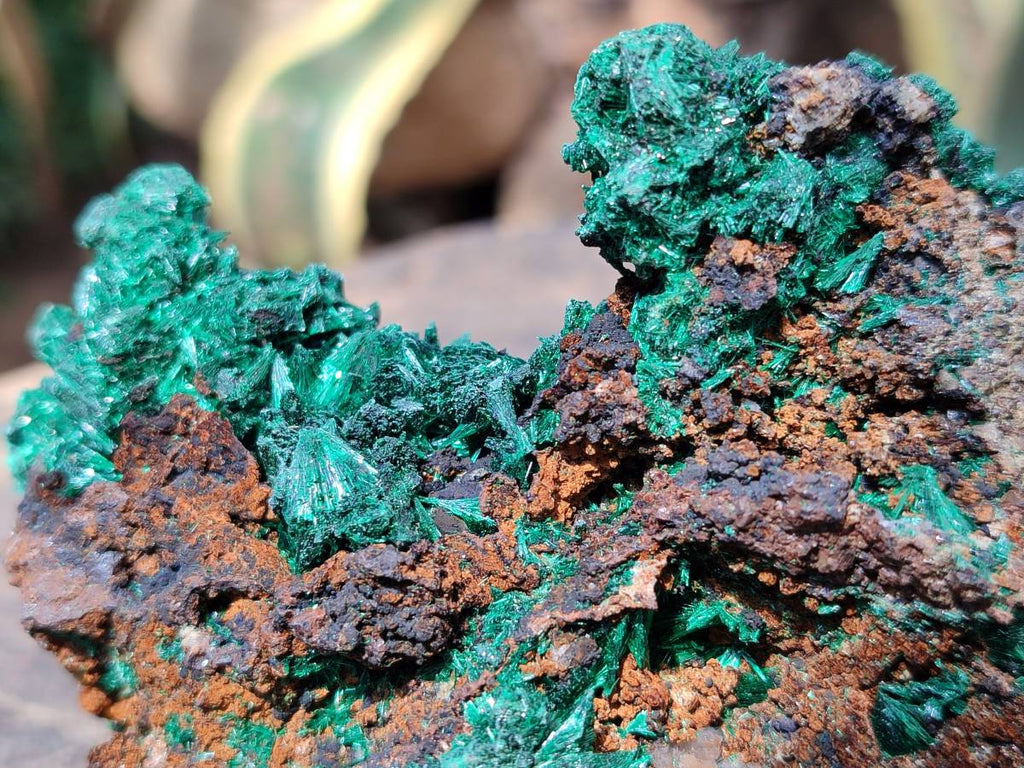 Acicular Rocks Natural Silky Acicular Malachite Specimen on Dolomite Matrix x 1 From ...
