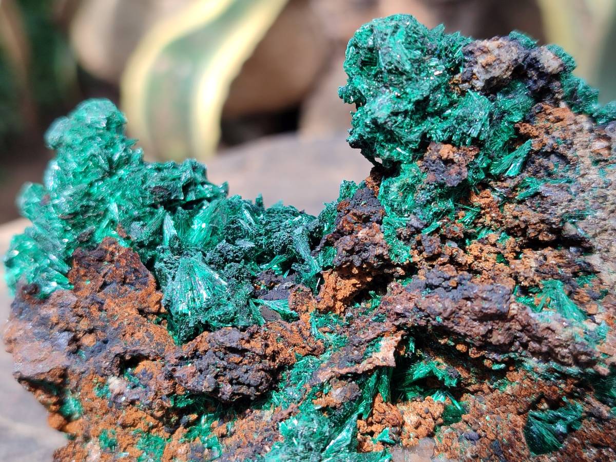 Natural Silky Acicular Malachite Specimen Dolomite Matrix x 1 From Kasompe, Congo - Toprock Gemstones and Minerals 