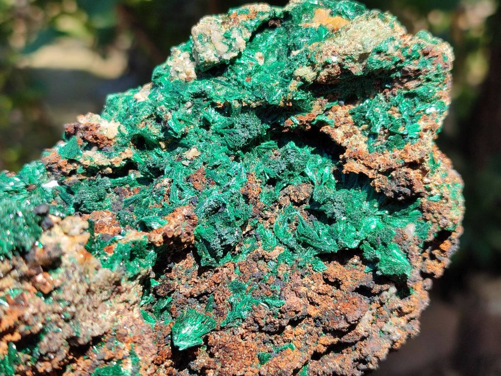 Acicular Rocks Natural Silky Acicular Malachite Specimen on Dolomite Matrix x 1 From ...