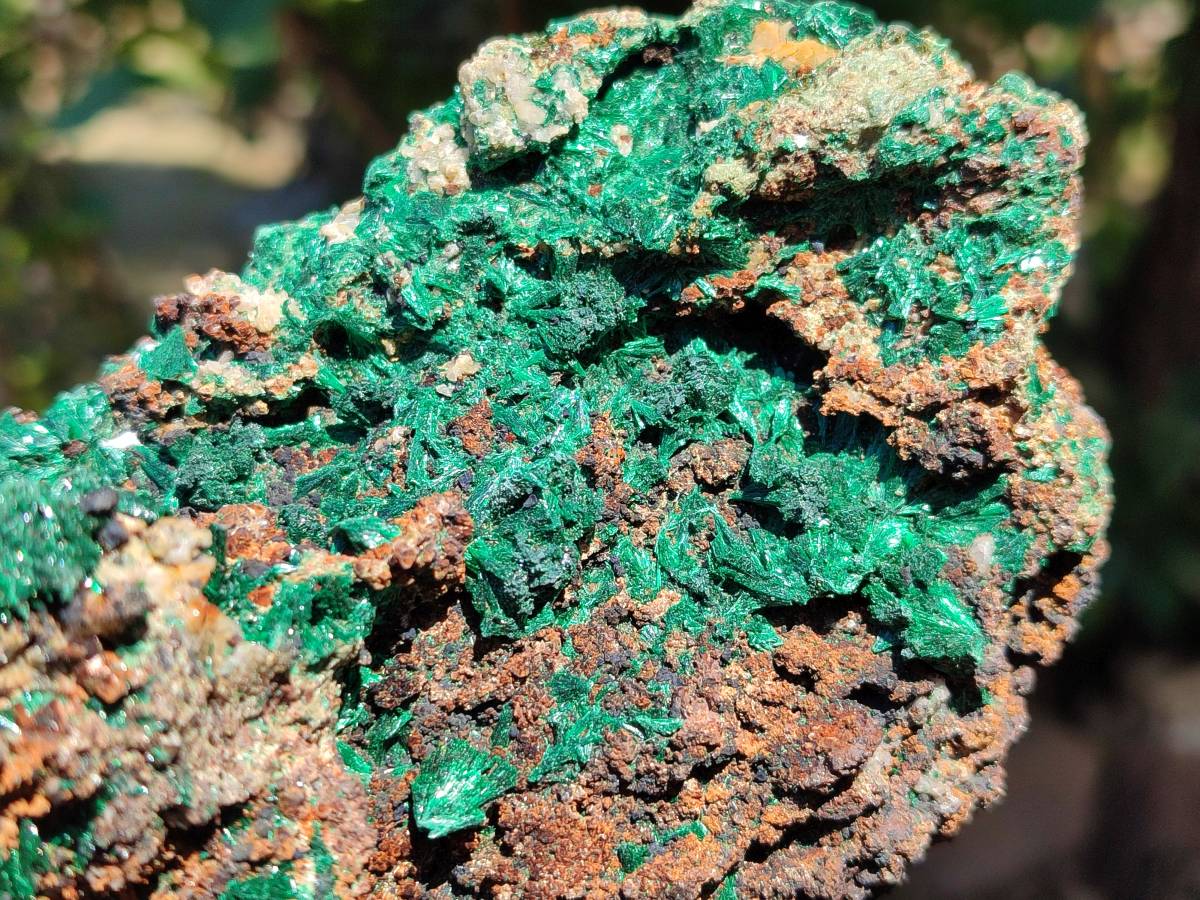 Natural Silky Acicular Malachite Specimen Dolomite Matrix x 1 From Kasompe, Congo - Toprock Gemstones and Minerals 