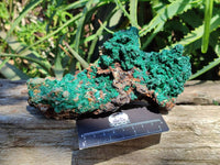 Natural Silky Acicular Malachite Specimen Dolomite Matrix x 1 From Kasompe, Congo
