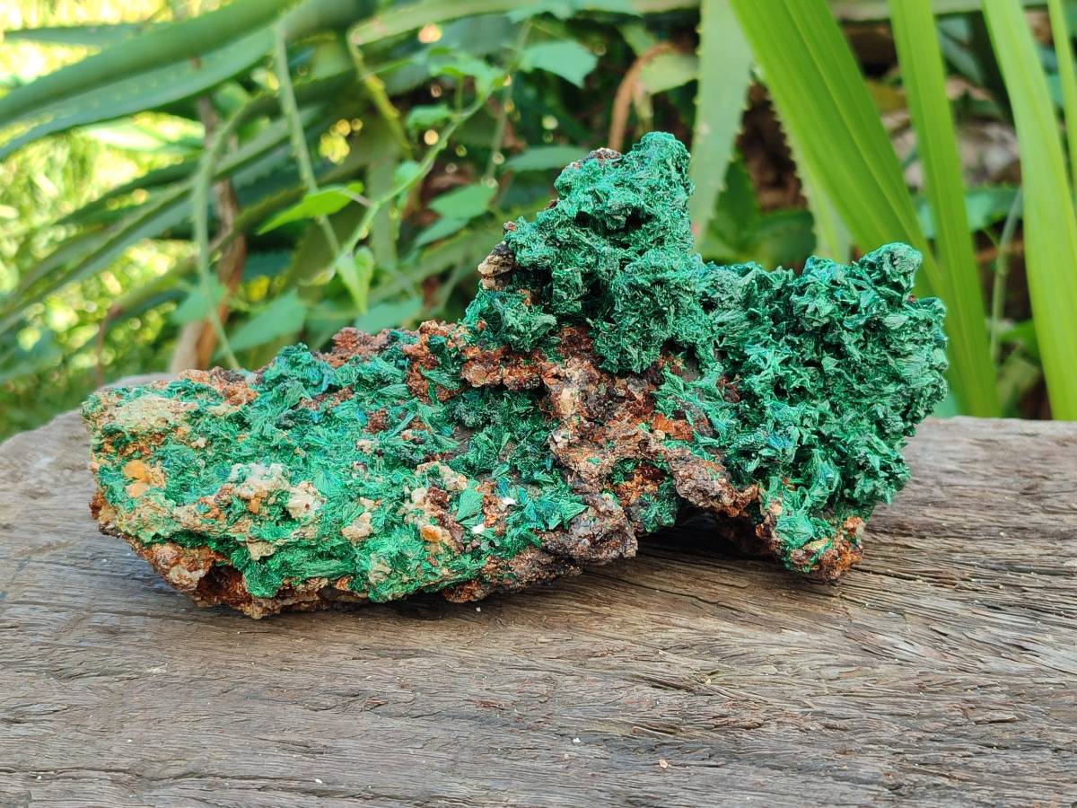 Natural Silky Acicular Malachite Specimen Dolomite Matrix x 1 From Kasompe, Congo - Toprock Gemstones and Minerals 