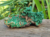 Natural Silky Acicular Malachite Specimen Dolomite Matrix x 1 From Kasompe, Congo