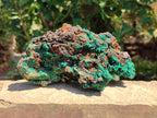 Natural Silky Acicular Malachite Specimen Dolomite Matrix x 1 From Kasompe, Congo - Toprock Gemstones and Minerals 