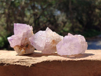 Natural Sunburst Amethyst Spirit Quartz Crystal And Clusters x 20 From Boekenhouthoek, South Africa