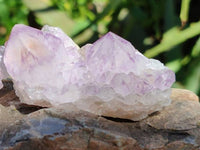 Natural Sunburst Amethyst Spirit Quartz Crystal And Clusters x 20 From Boekenhouthoek, South Africa