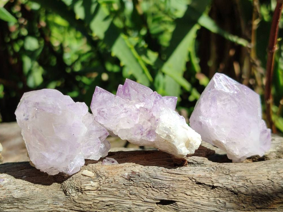 Natural Sunburst Amethyst Spirit Quartz Crystal And Clusters x 20 From Boekenhouthoek, South Africa - Toprock Gemstones and Minerals 