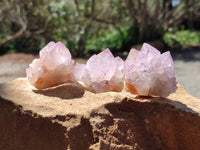 Natural Sunburst Amethyst Spirit Quartz Crystal And Clusters x 20 From Boekenhouthoek, South Africa