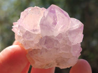 Natural Sunburst Amethyst Spirit Quartz Crystal And Clusters x 20 From Boekenhouthoek, South Africa