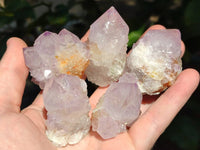Natural Sunburst Amethyst Spirit Quartz Crystal And Clusters x 20 From Boekenhouthoek, South Africa