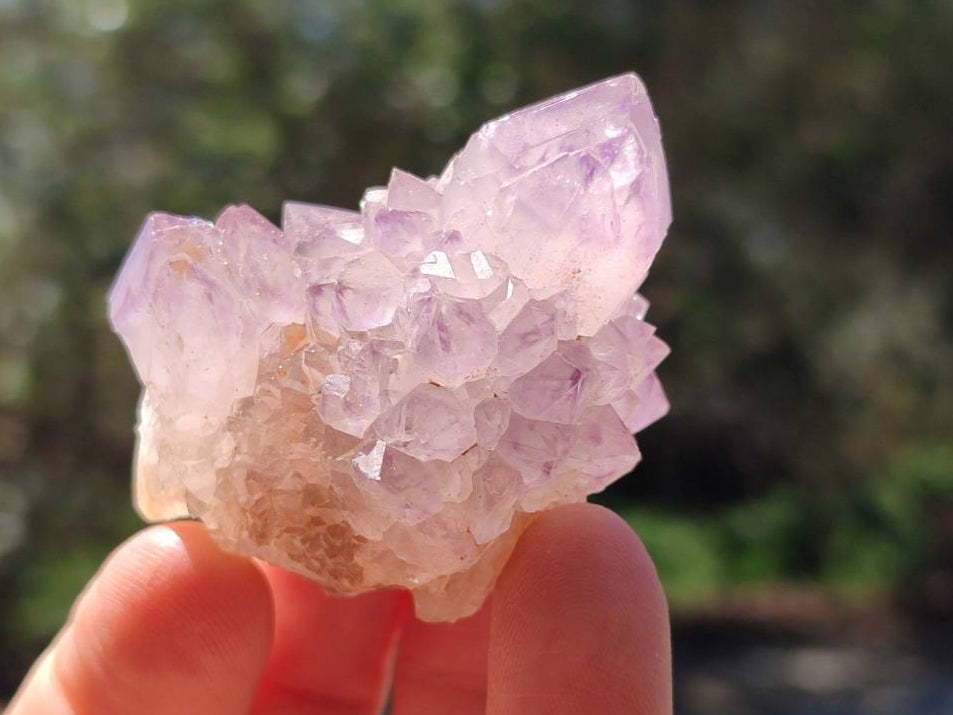 Natural Sunburst Amethyst Spirit Quartz Crystal And Clusters x 20 From Boekenhouthoek, South Africa - Toprock Gemstones and Minerals 