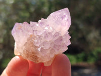 Natural Sunburst Amethyst Spirit Quartz Crystal And Clusters x 20 From Boekenhouthoek, South Africa
