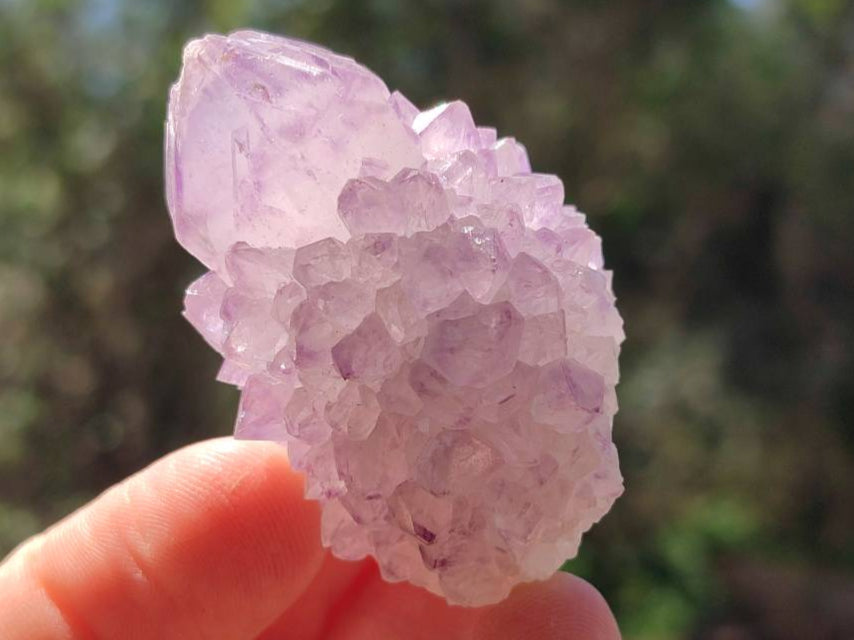 Natural Sunburst Amethyst Spirit Quartz Crystal And Clusters x 20 From Boekenhouthoek, South Africa - Toprock Gemstones and Minerals 